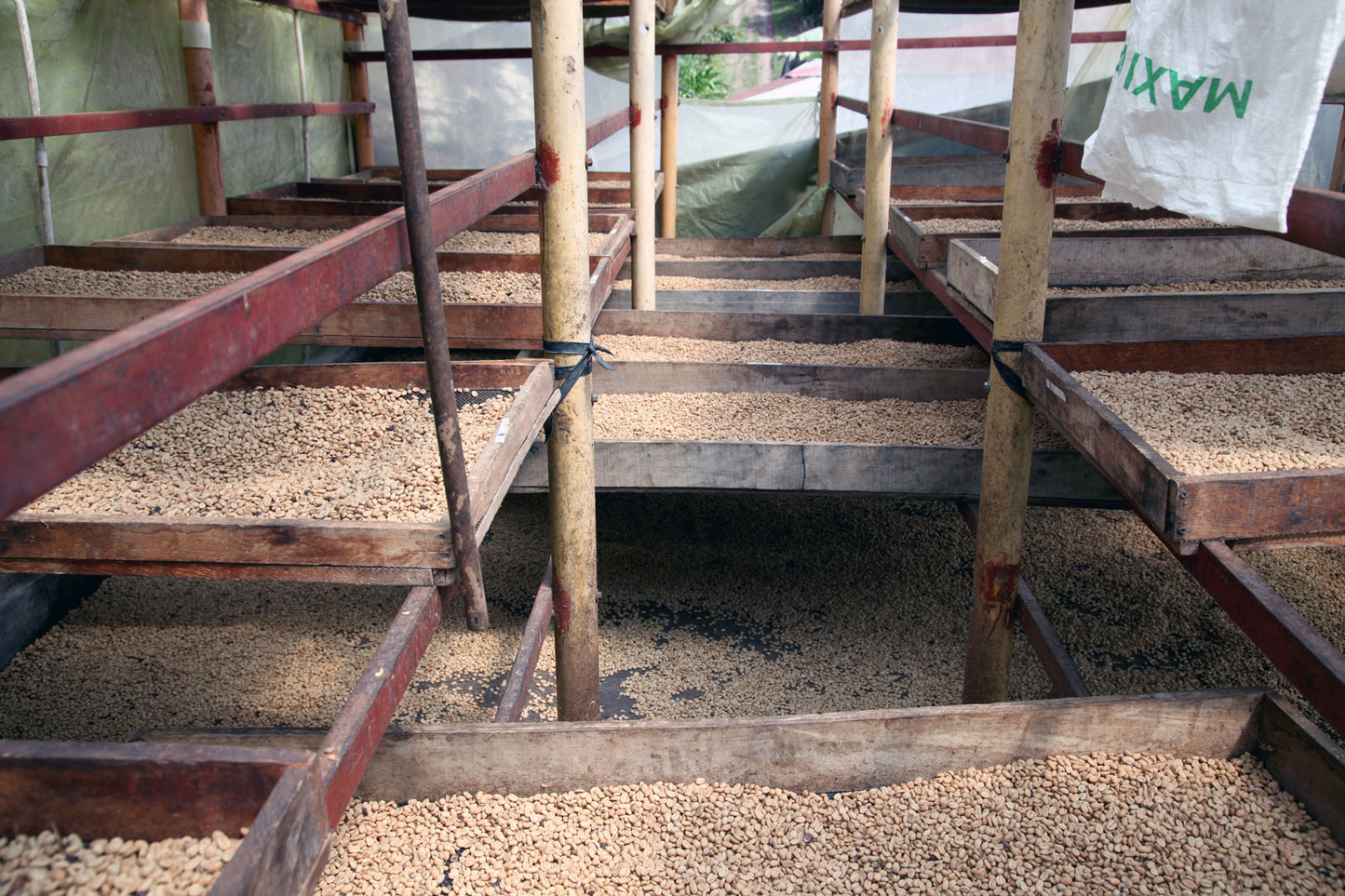 Colombia | El Diamante | Neftali Castro | Pink Bourbon Washed