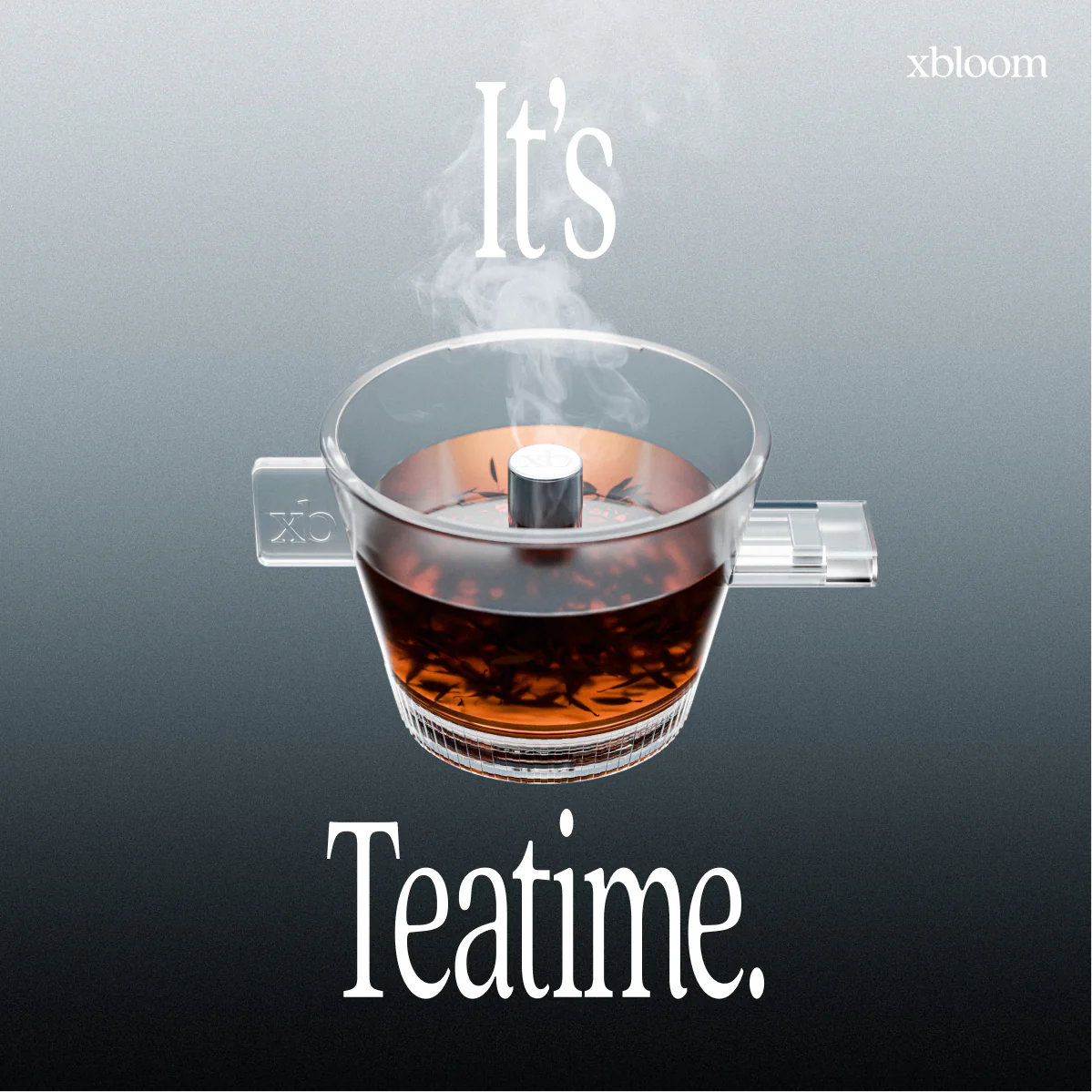 xBloom Omni Tea Brewer