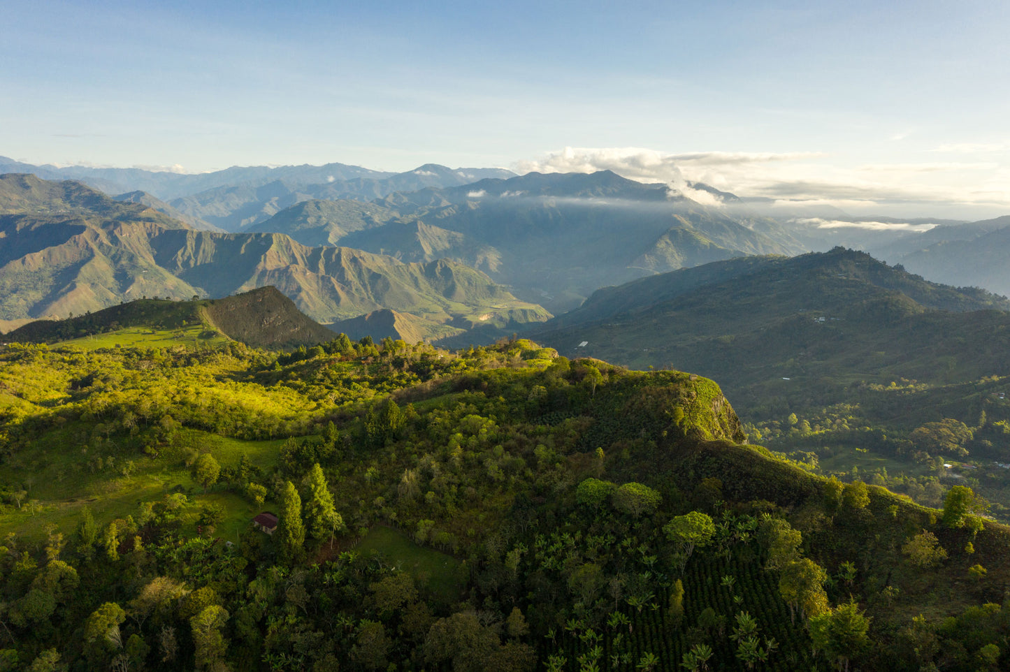 Colombia | Pillimué Family | Caturra / Colombia Washed EA Decaf
