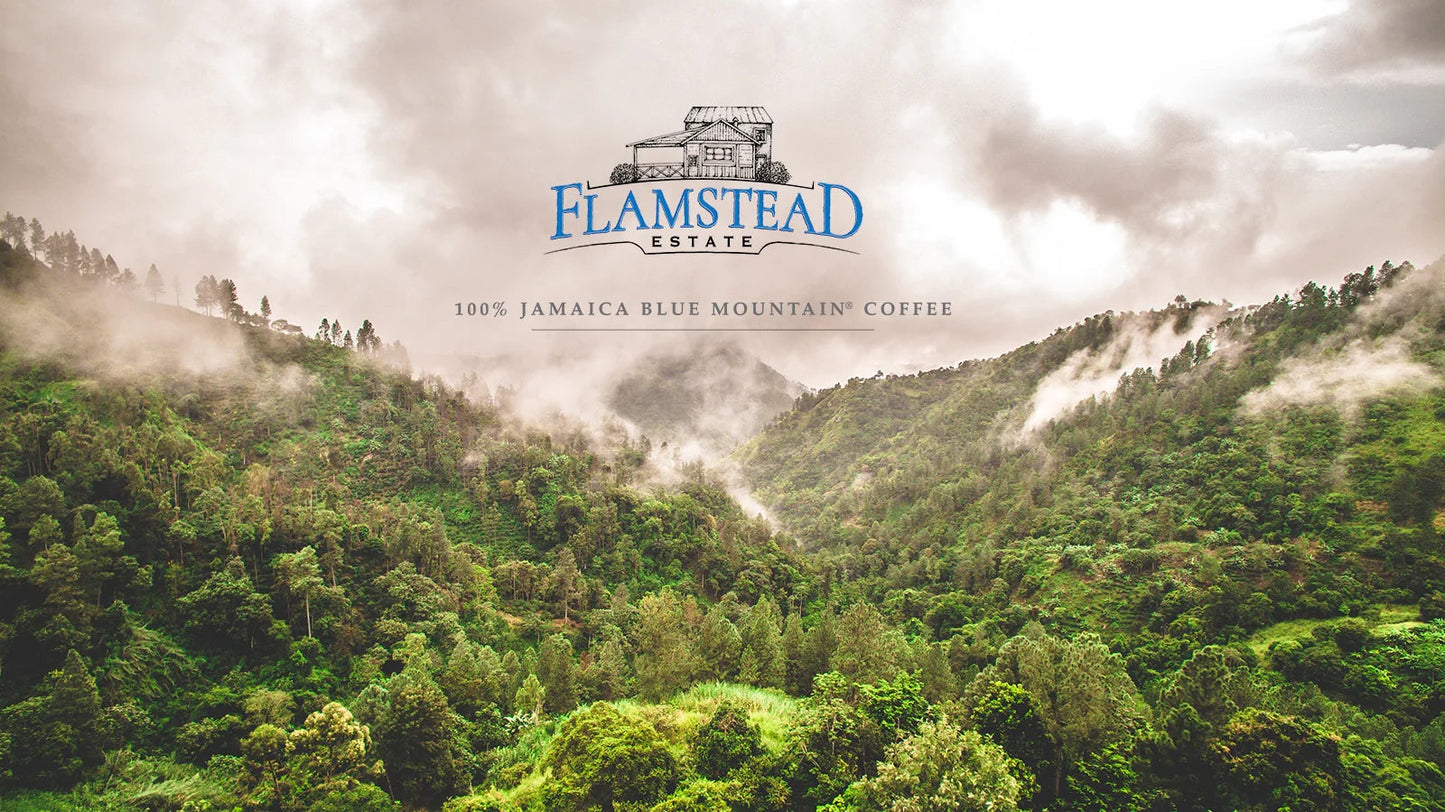 flam03.webp