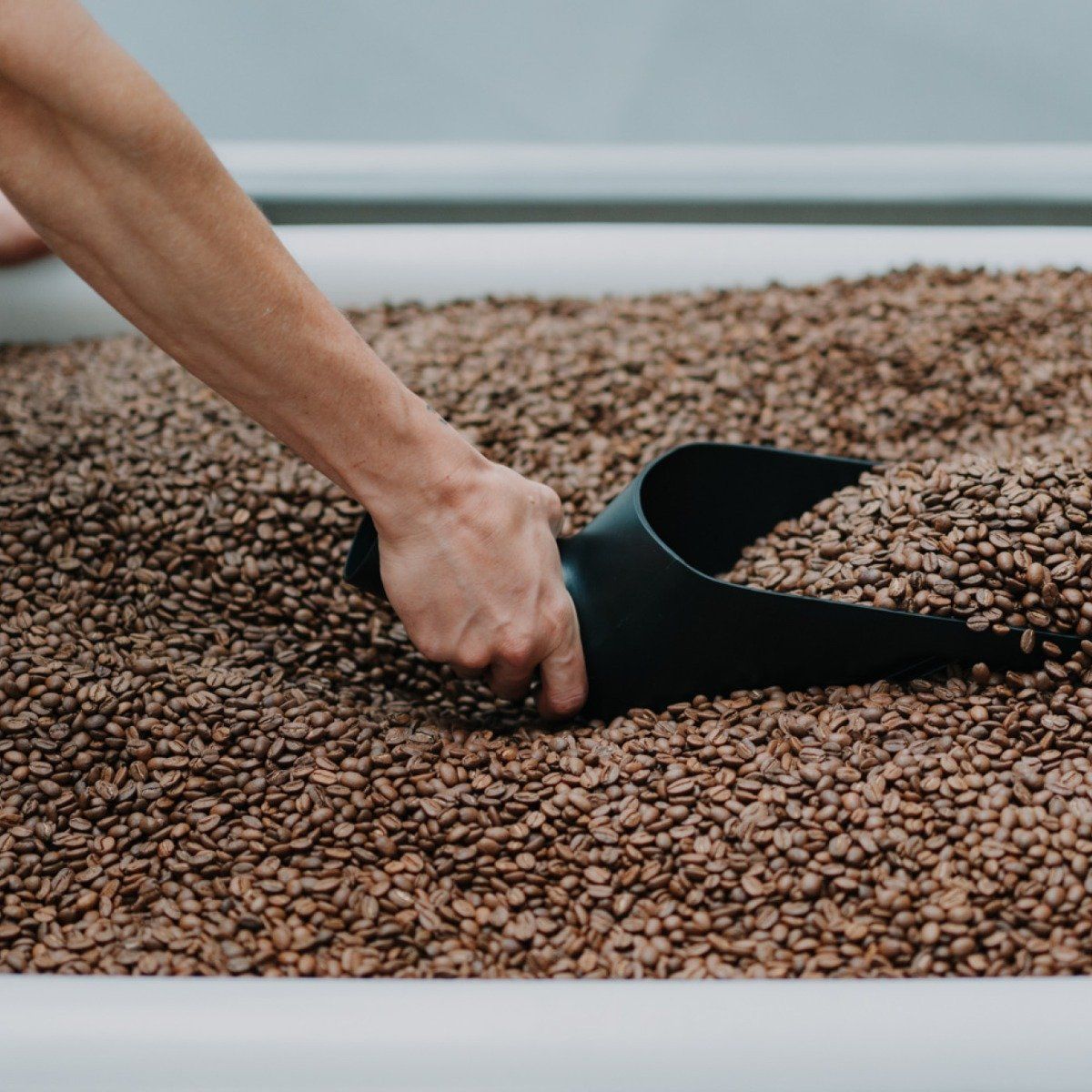 rcg_roaster_supplies6.jpg