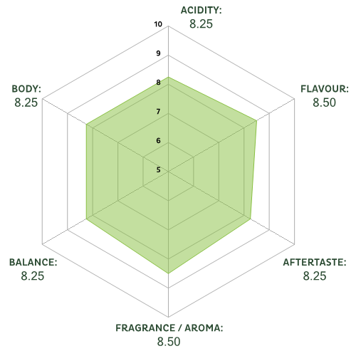svg_spiderchart_0_fff_500x500_8.5_8.25_8.5_8.25_8.25_8.25.png