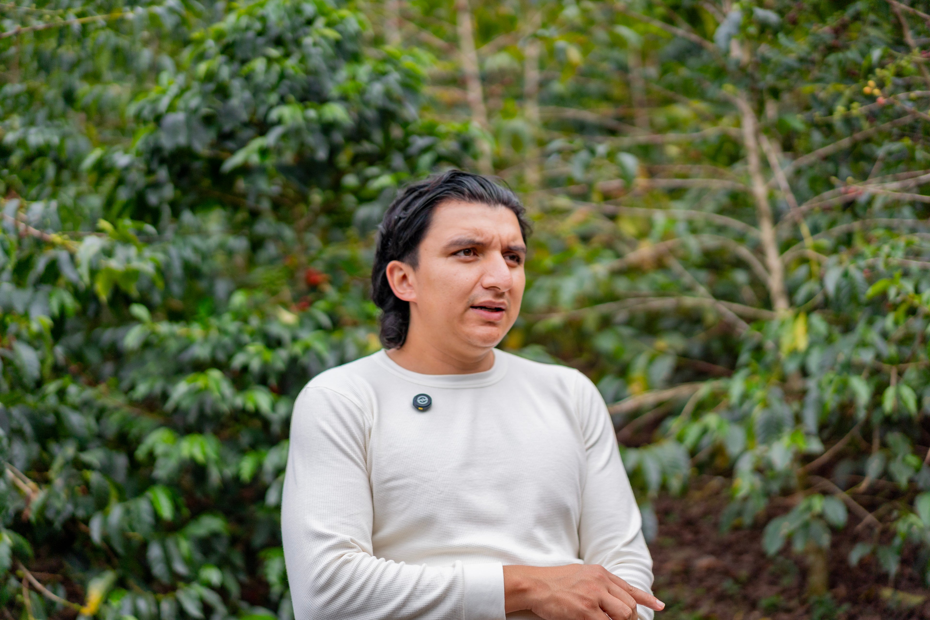 Colombia | El Diviso | Nestor Lasso | Ombligon Natural (Floral Symphony) | Signature Series