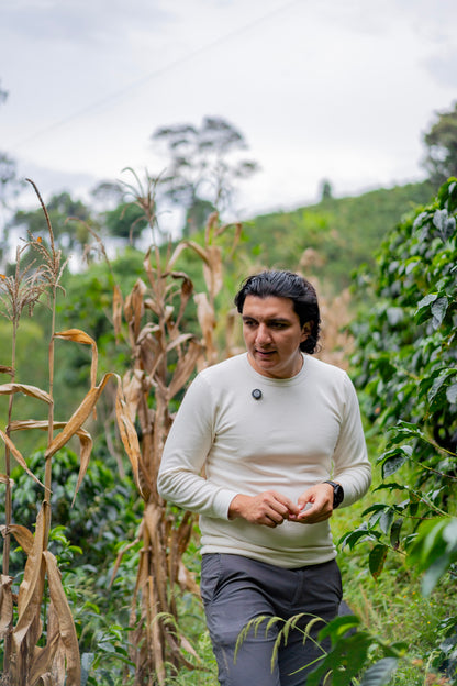 Colombia | El Diviso | Nestor Lasso | Aji Bourbon Tropical Fruit Forward Lush Natural | Signature Series