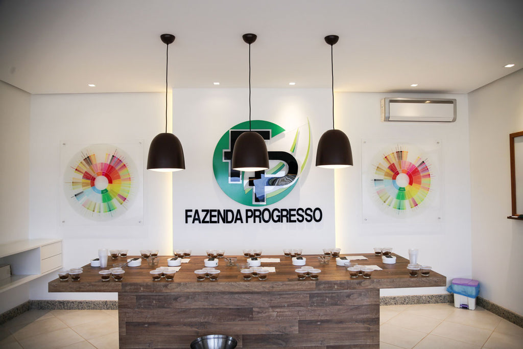 Brazil | Fazenda Progresso | Catuaí / Topazio Natural