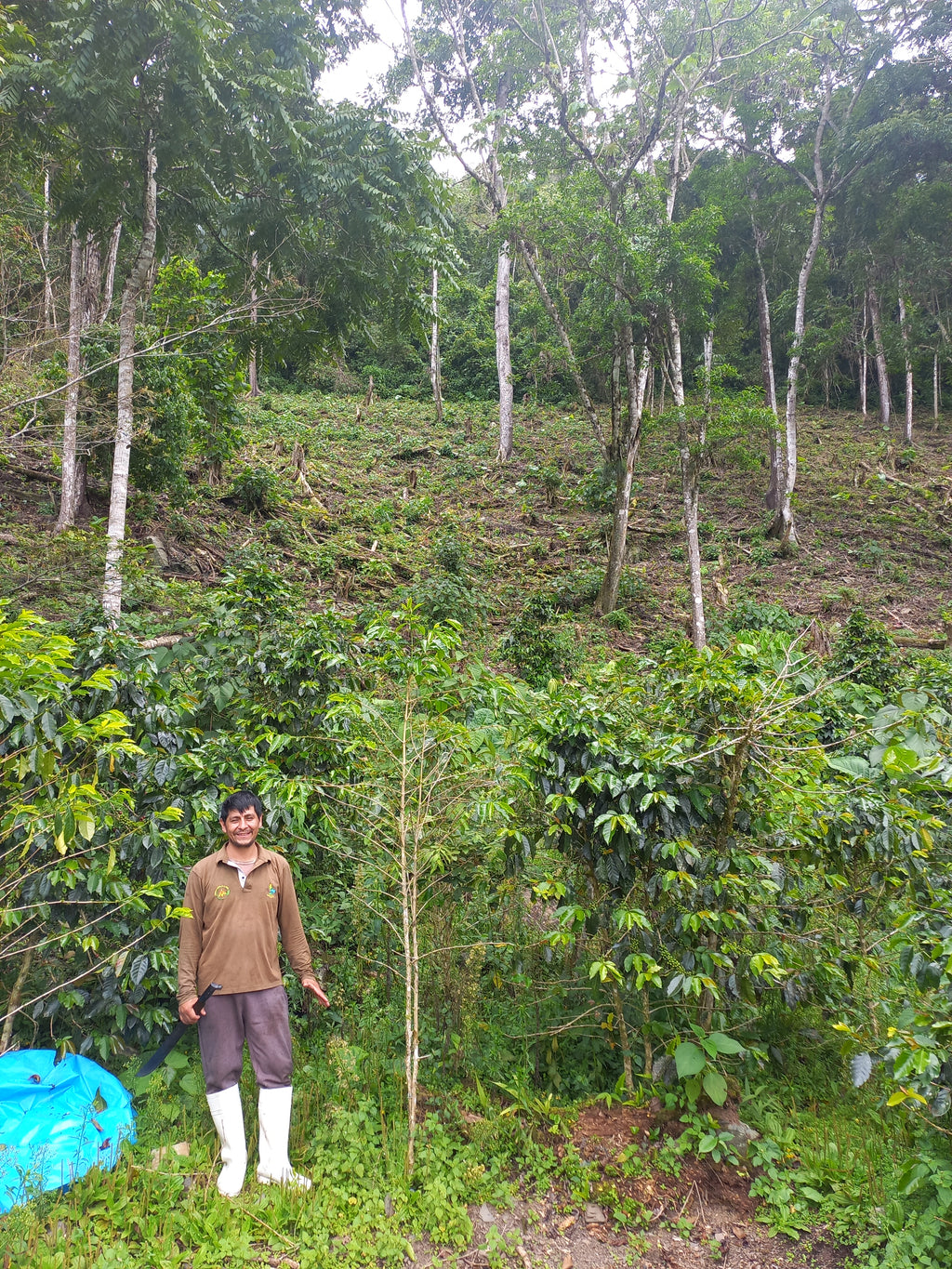 Peru | Norica Perez Vargas | Pink Bourbon Washed