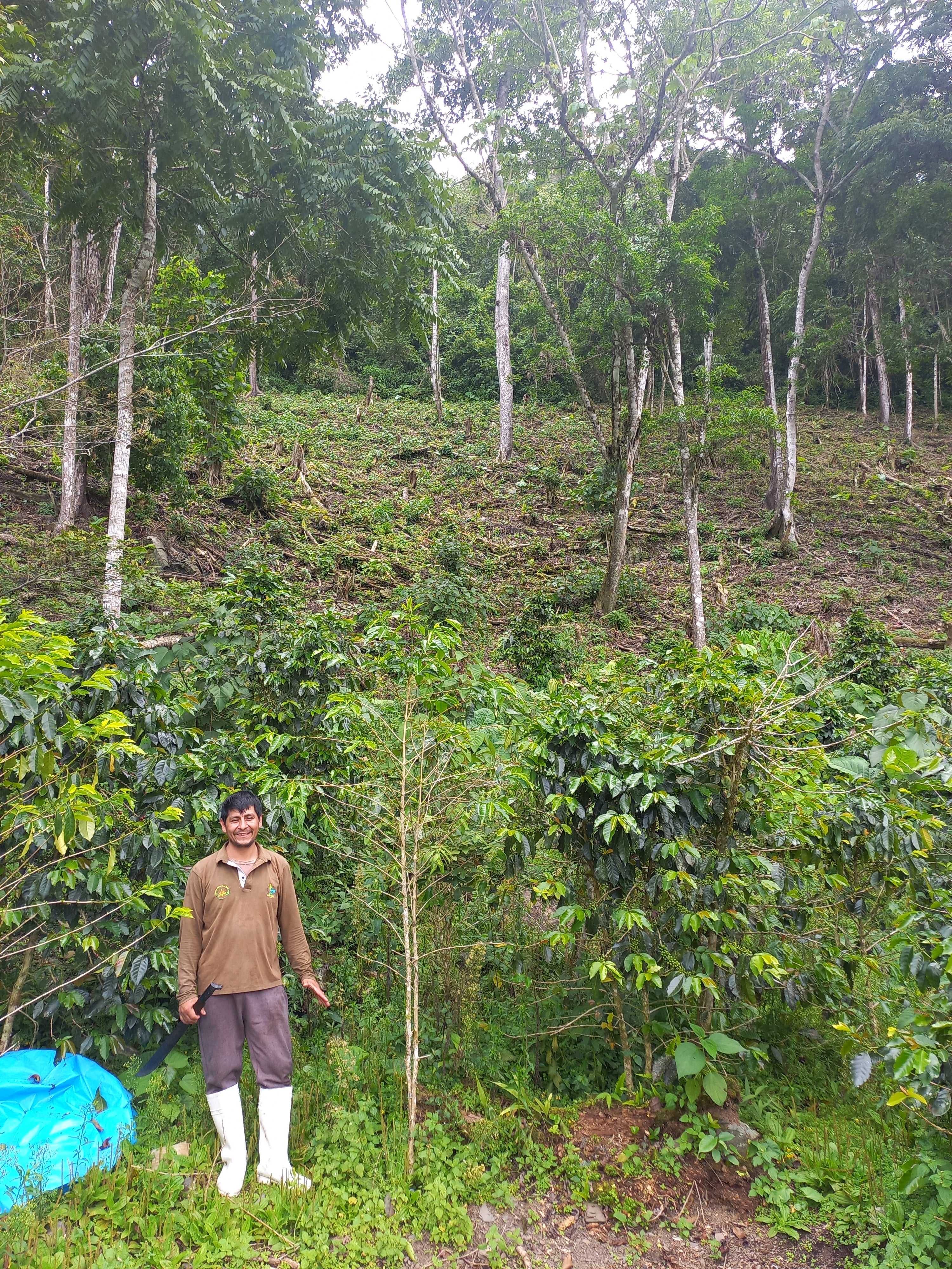 Peru | Norica Perez Vargas | Pink Bourbon Washed