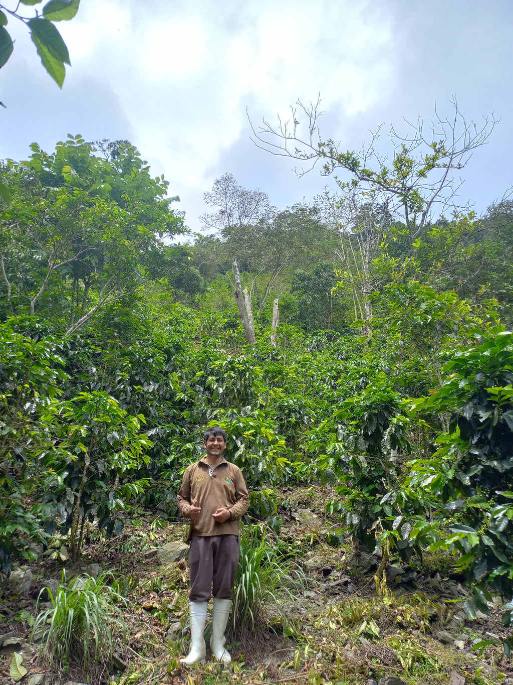 Peru | Norica Perez Vargas | Pink Bourbon Washed