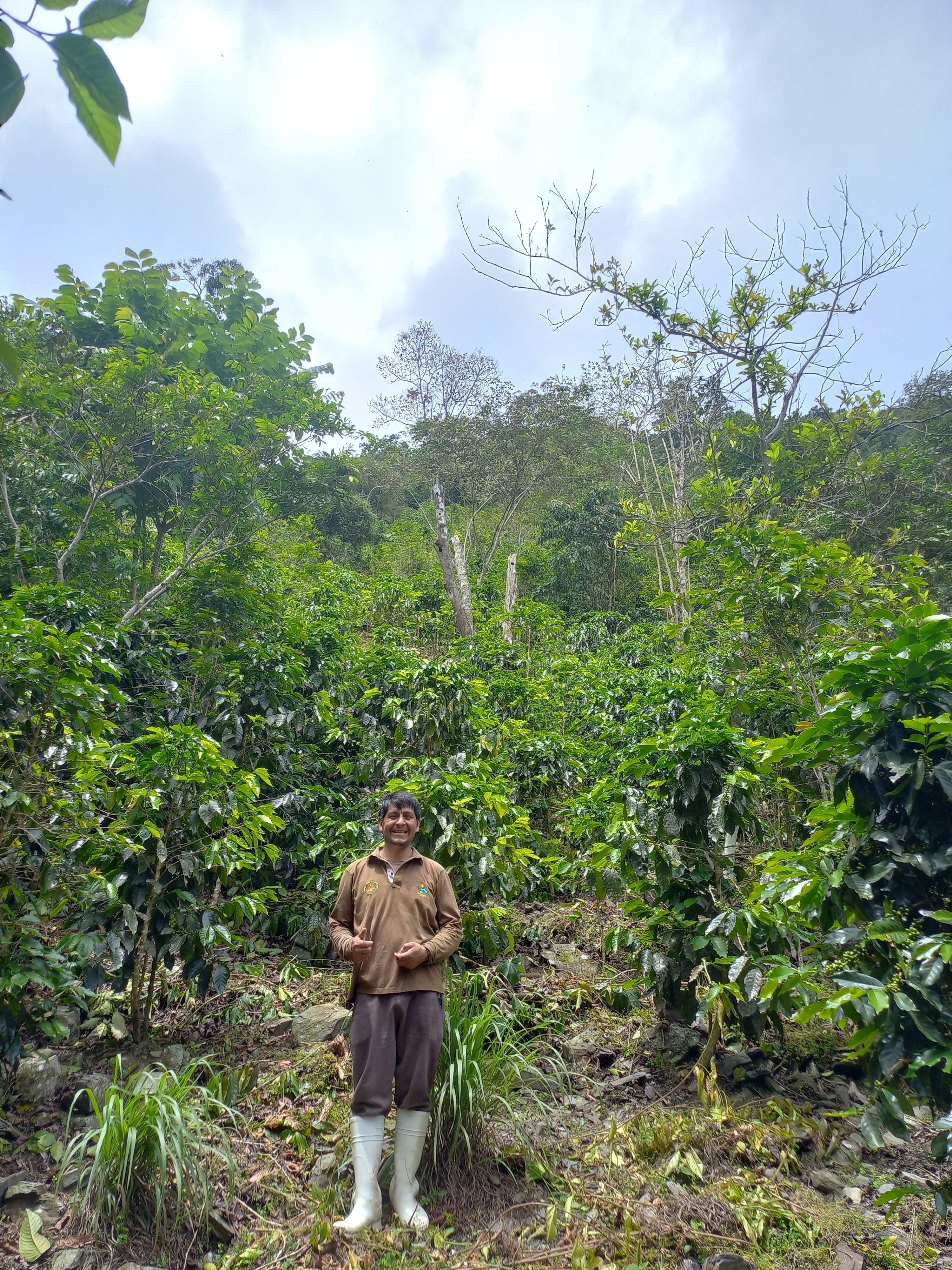Peru | Norica Perez Vargas | Pink Bourbon Washed