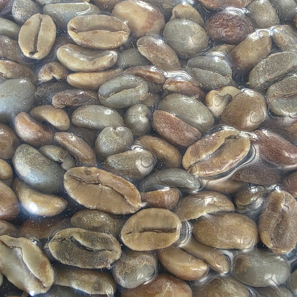 Colombia | Las Flores | Jhoan Vergara | Java Hydrohoney (Duo Cherry Velvet) | Signature Series