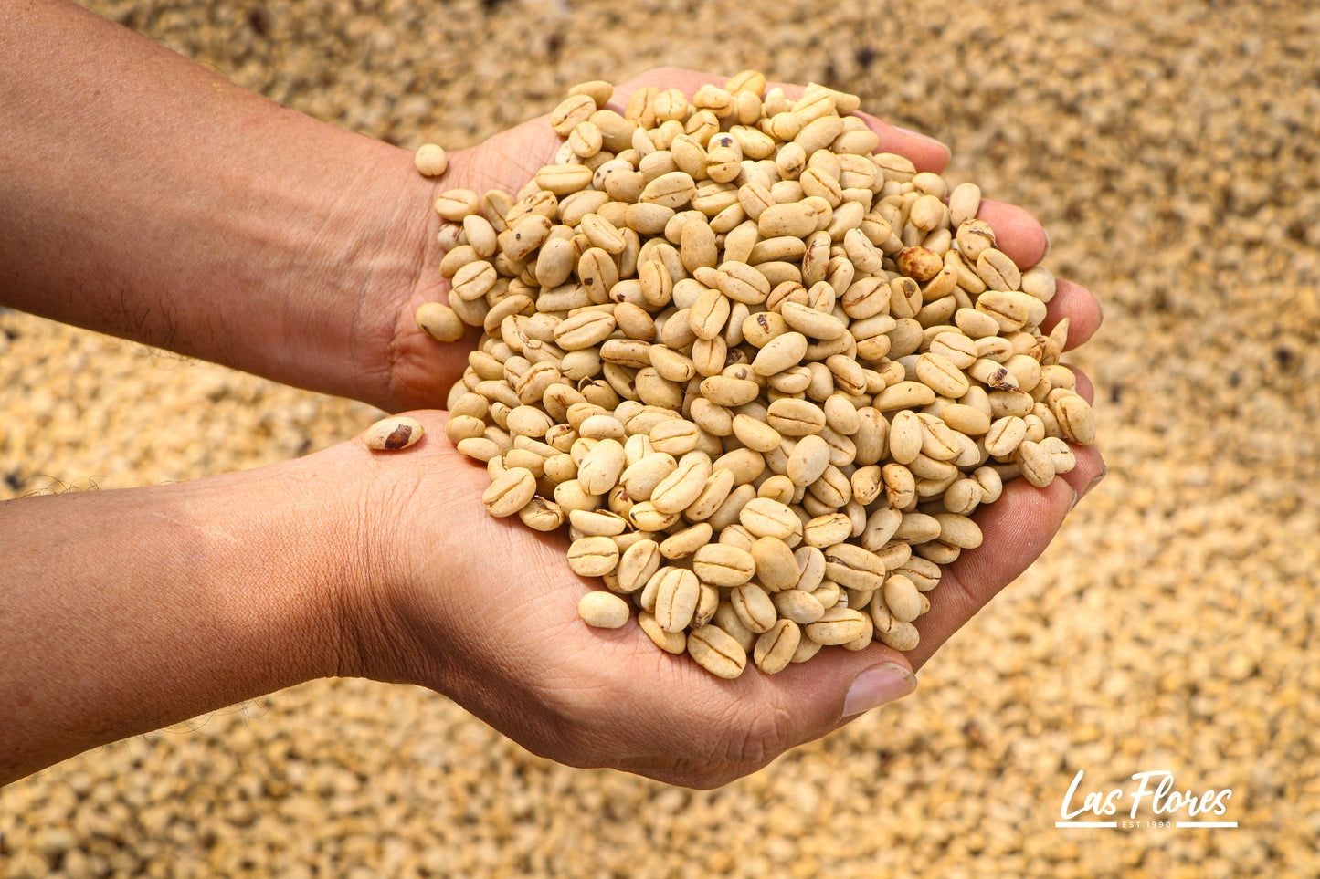 Colombia | Las Flores | Jhoan Vergara | Java Fruit Forward Berry Ensemble Natural | Signature Series