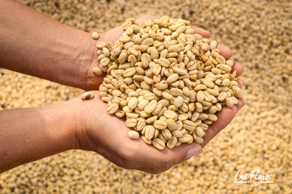 Colombia | Las Flores | Jhoan Vergara | Java Fruit Forward Berry Ensemble Natural | Signature Series