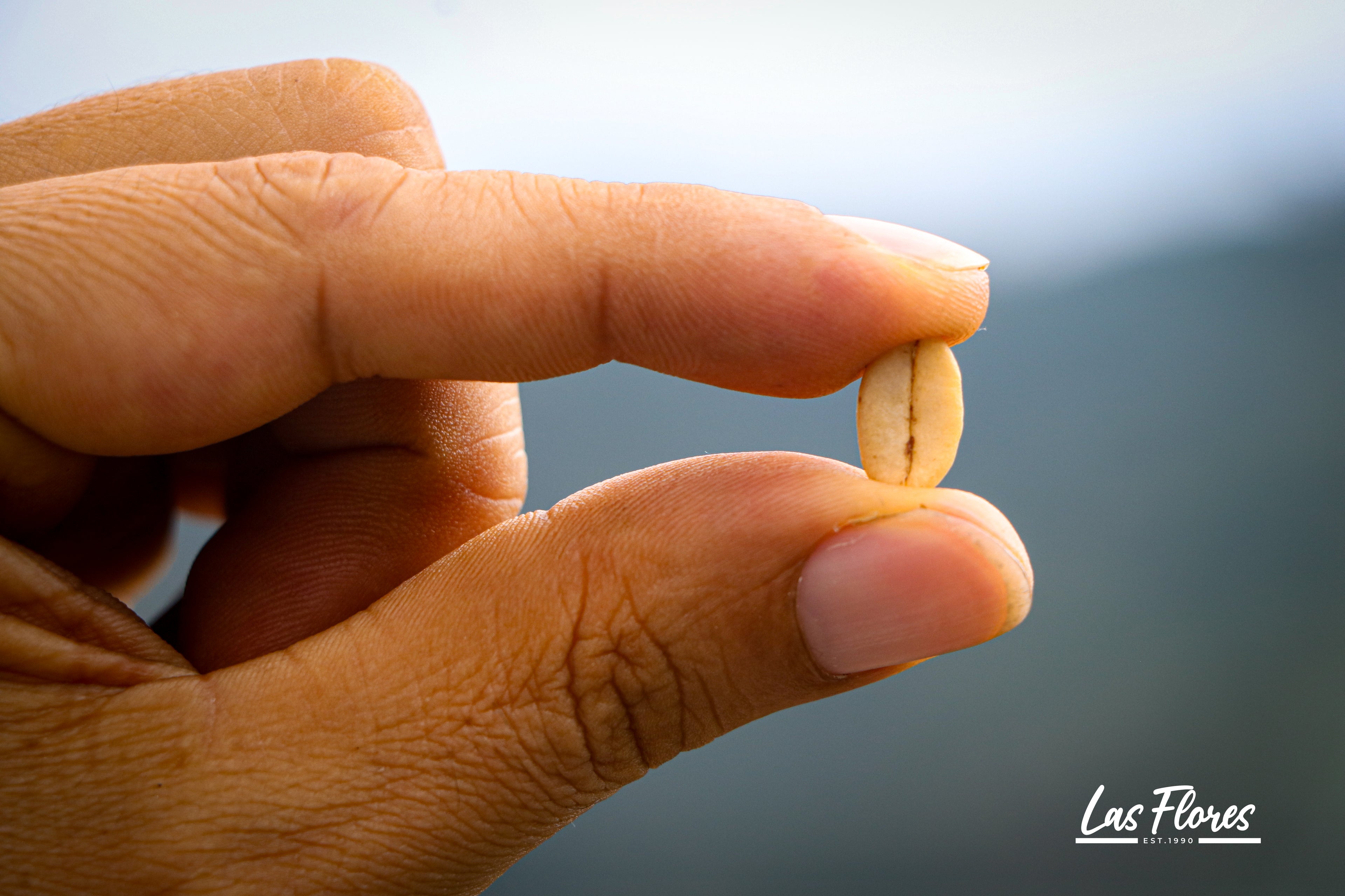 Colombia | Las Flores | Jhoan Vergara | Java Hydrohoney (Duo Cherry Velvet) | Signature Series