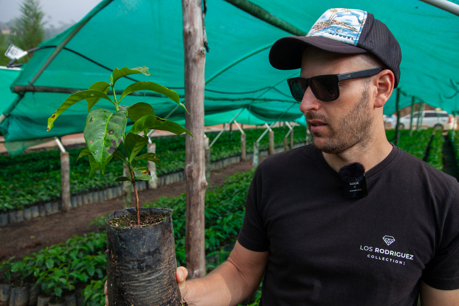 Bolivia | Las Alasitas | Gesha Coco Natural | Signature Series