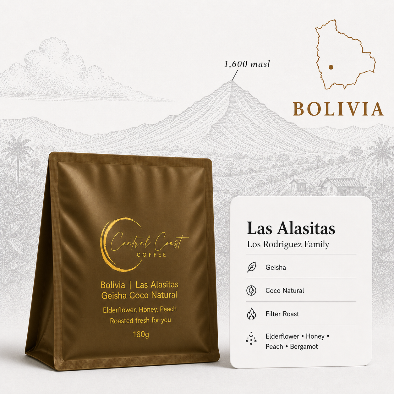 Bolivia | Las Alasitas | Gesha Coco Natural | Signature Series 160g bag