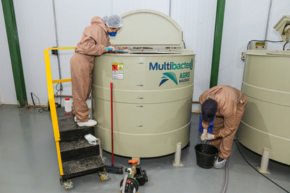 Brazil | Fazenda Progresso | Catuaí / Topazio Natural