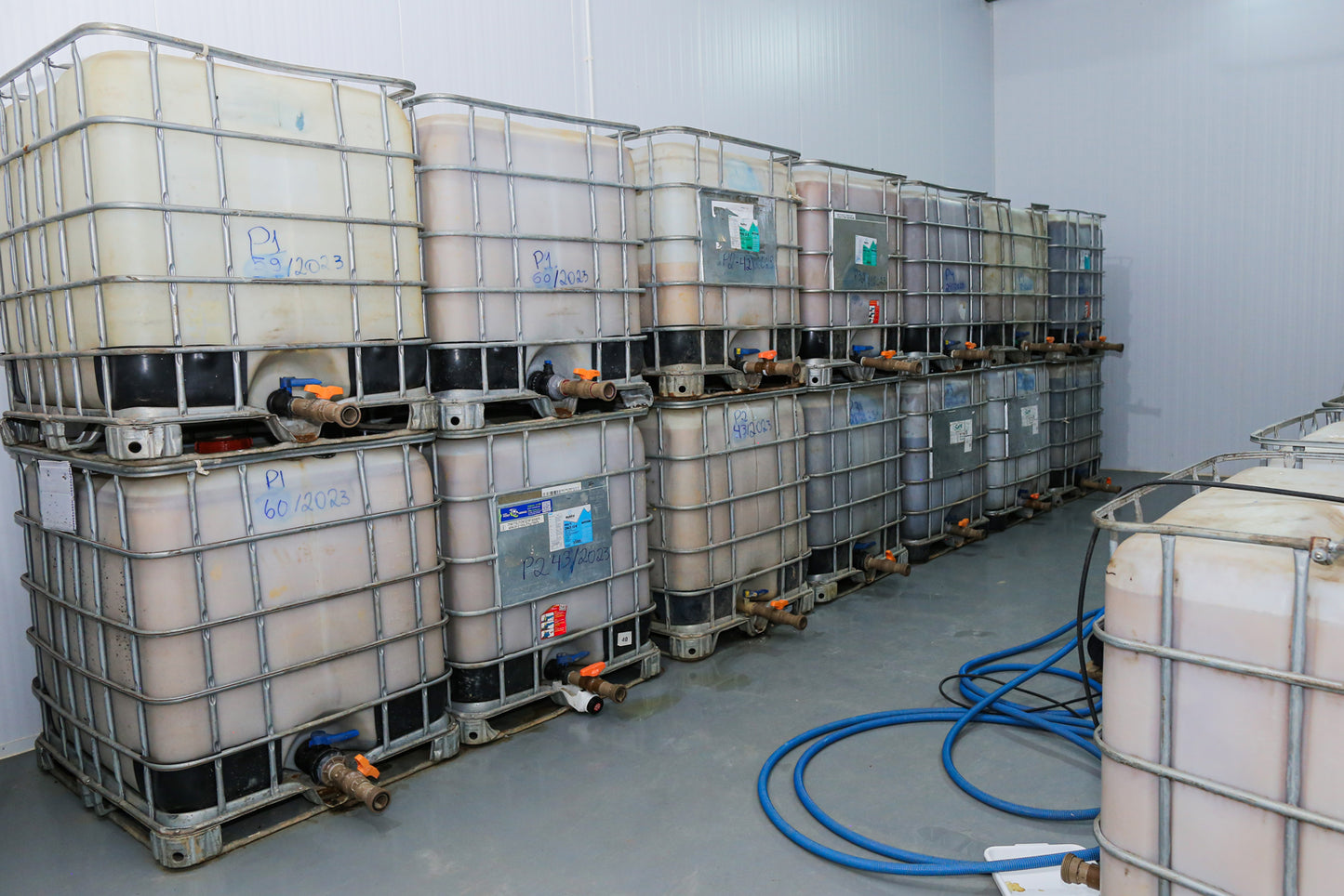 Brazil | Fazenda Progresso | Catuaí / Topazio Natural