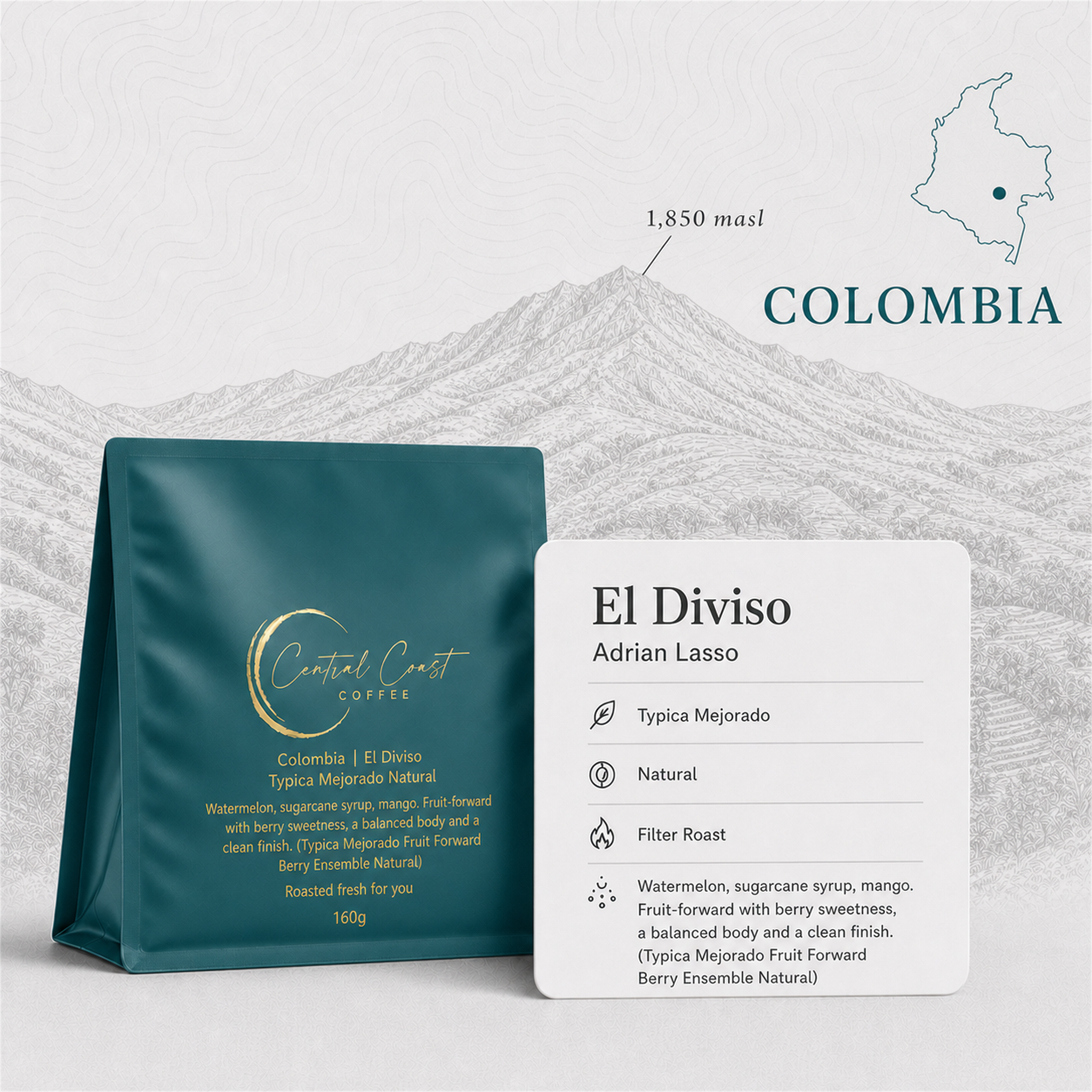 Colombia | El Diviso | Adrian Lasso | Typica Mejorado Natural (Fruit Forward Berry Ensemble) | Signature Series (Competition Coffee)