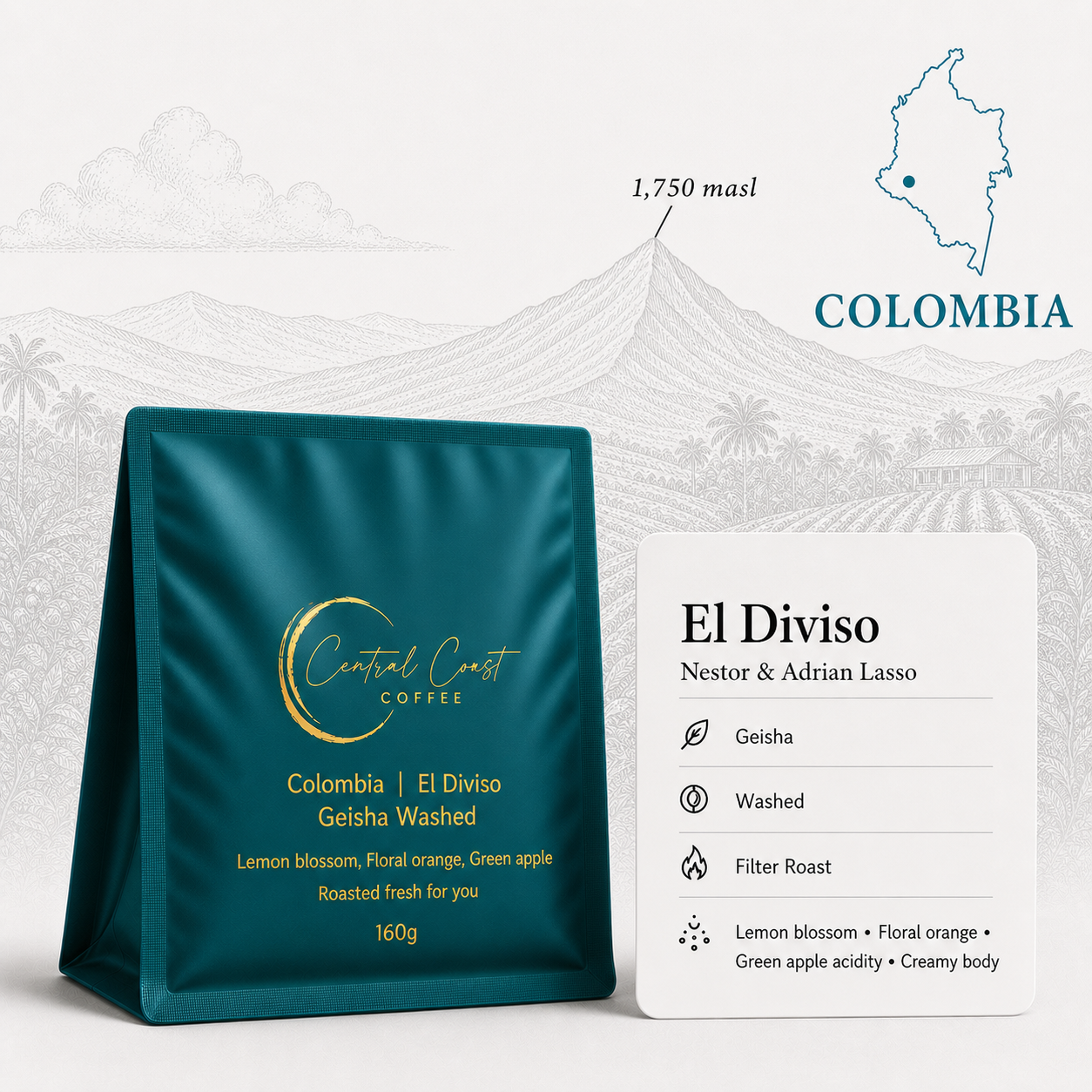 Colombia | El Diviso | Nestor & Adrian Lasso | Gesha Washed (Doña Martha Floral Symphony) | Signature Series 160g bag
