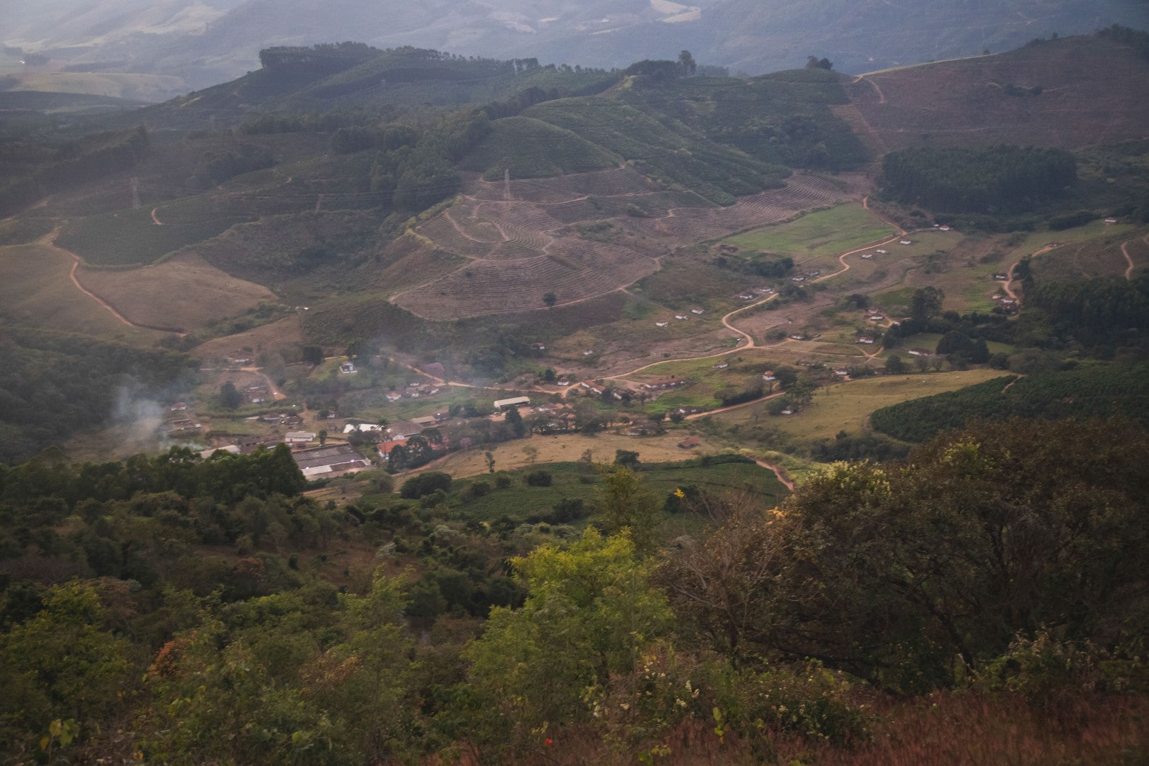 Brazil | Recreio | Arara Natural