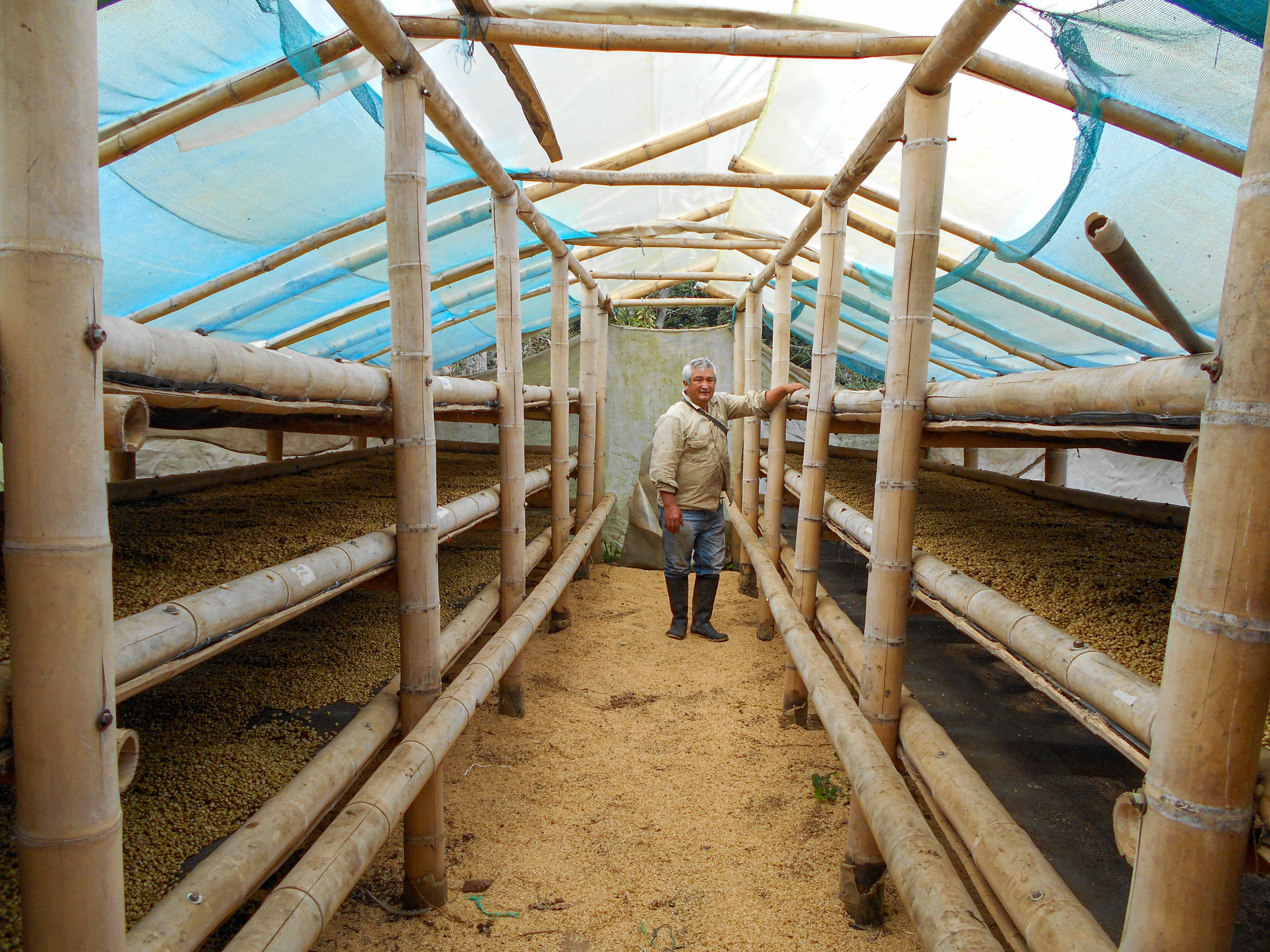 Colombia | Finca Patio Bonito | Paola & Carlos Trujillo | Bourbon Aji Natural | Signature Series