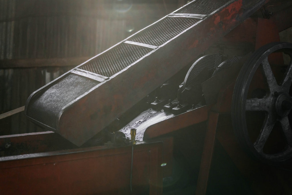 Ethiopia | Chelchele | Heirloom Washed Grade 1