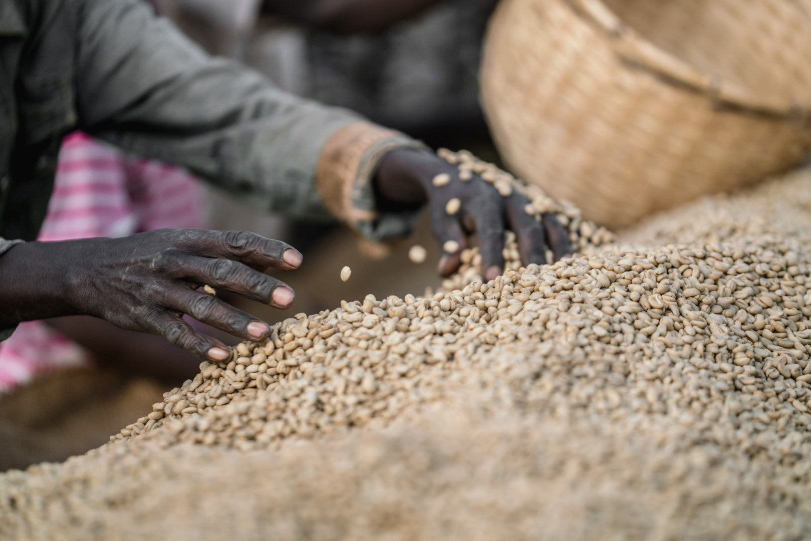 Ethiopia | Chelchele | Heirloom Washed Grade 1