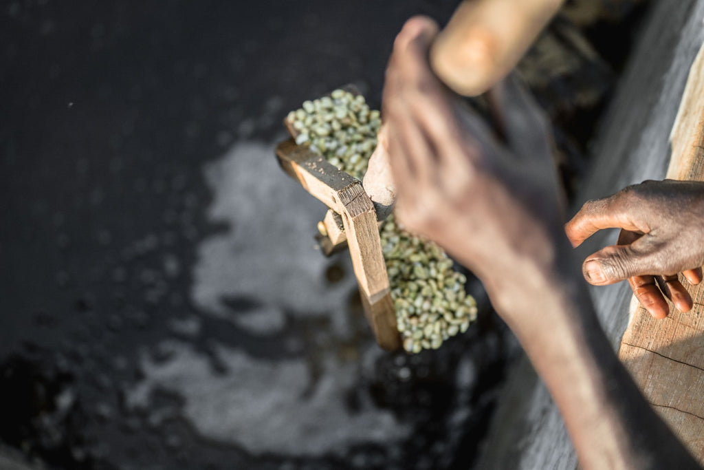 Ethiopia | Chelchele | Heirloom Washed Grade 1