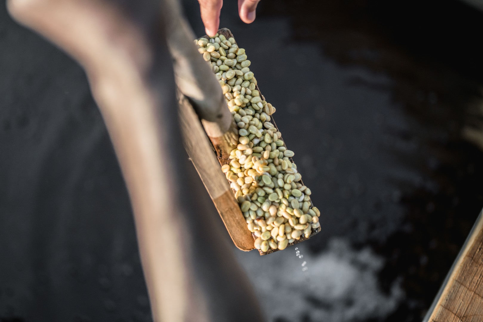 Ethiopia | Chelchele | Heirloom Washed Grade 1