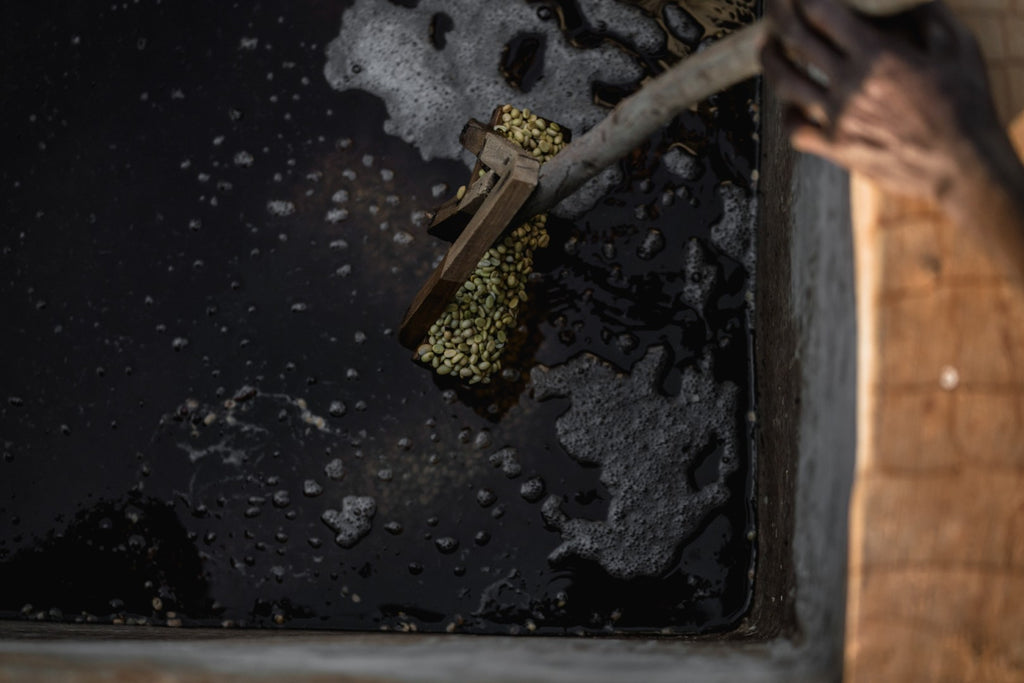 Ethiopia | Chelchele | Heirloom Washed Grade 1