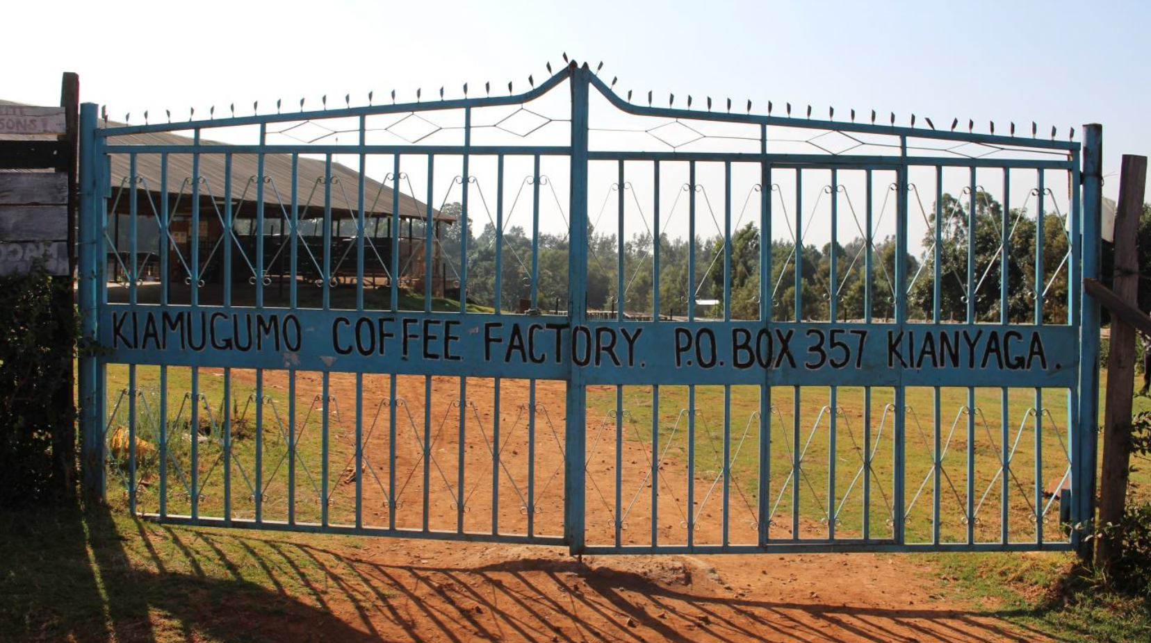 Kenya | Kiamugumo | Batian, SL28, SL34, Ruiru 11 Washed AA