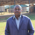 Kenya | Kiamugumo | Batian, SL28, SL34, Ruiru 11 Washed AA