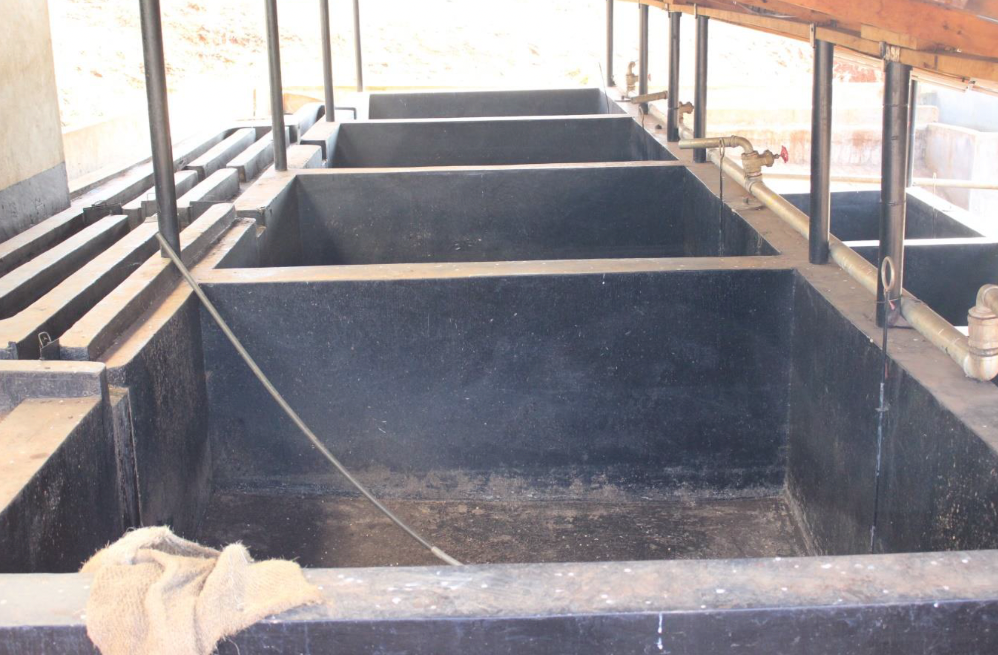 Kenya | Kiamugumo | Batian, SL28, SL34, Ruiru 11 Washed AA