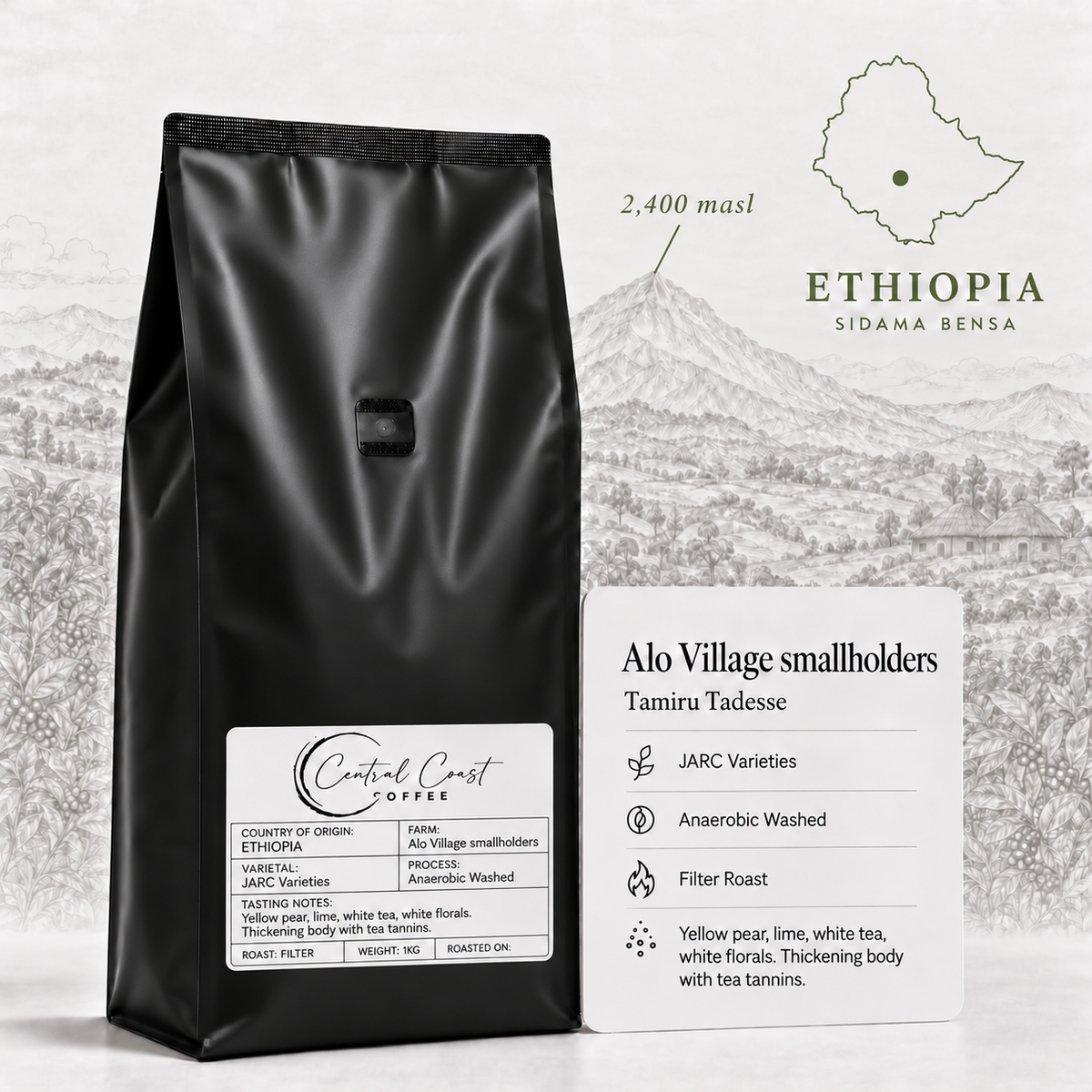 Ethiopia | Sidama Alo | 74158 Anaerobic Washed Grade 1 | Signature Series