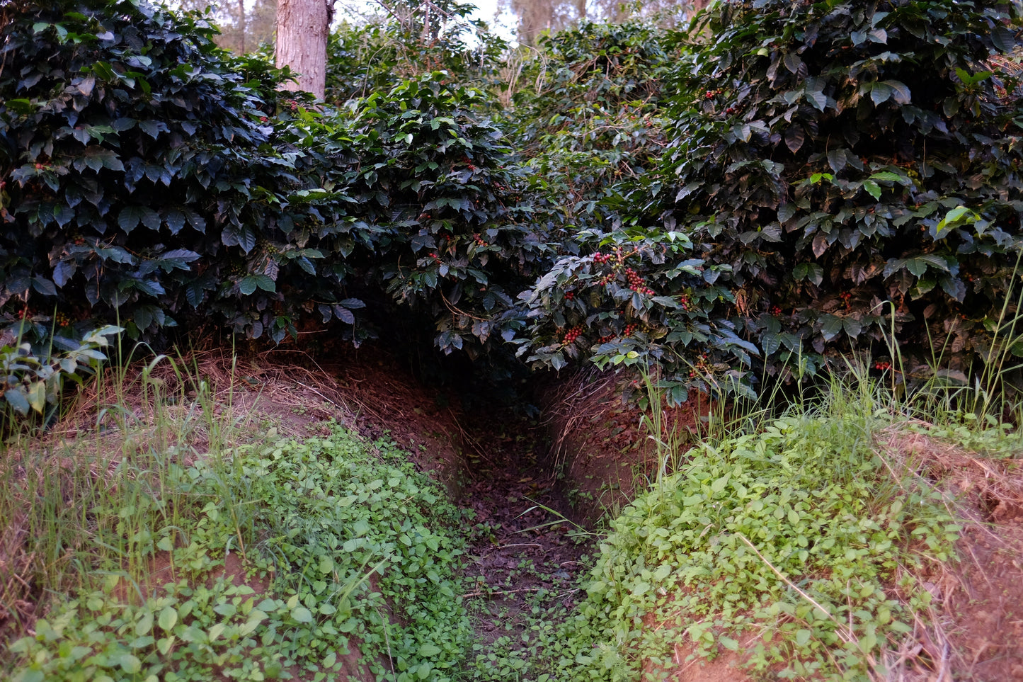 DSCF3453.jpg