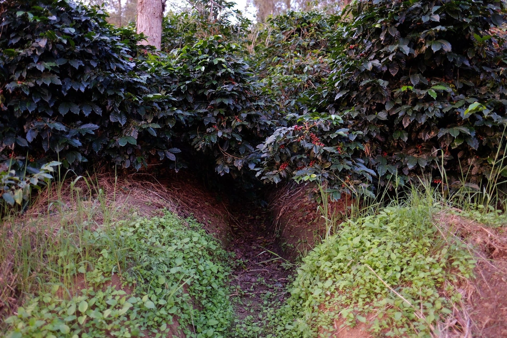 DSCF3453.jpg