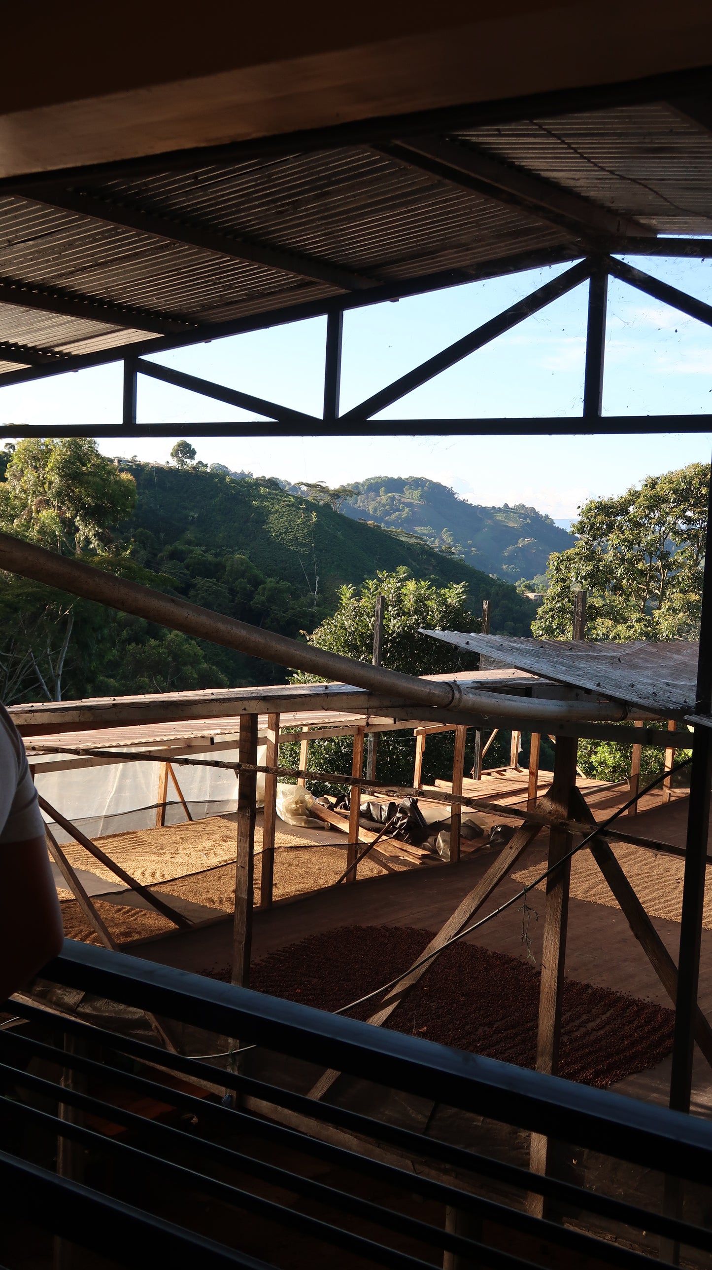 Colombia | El Diviso | Adrian Lasso | Sidra Bourbon Duo Cherry Velvet | Signature Series