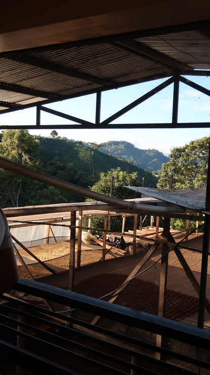 Colombia | El Diviso | Adrian Lasso | Sidra Bourbon Duo Cherry Velvet | Signature Series