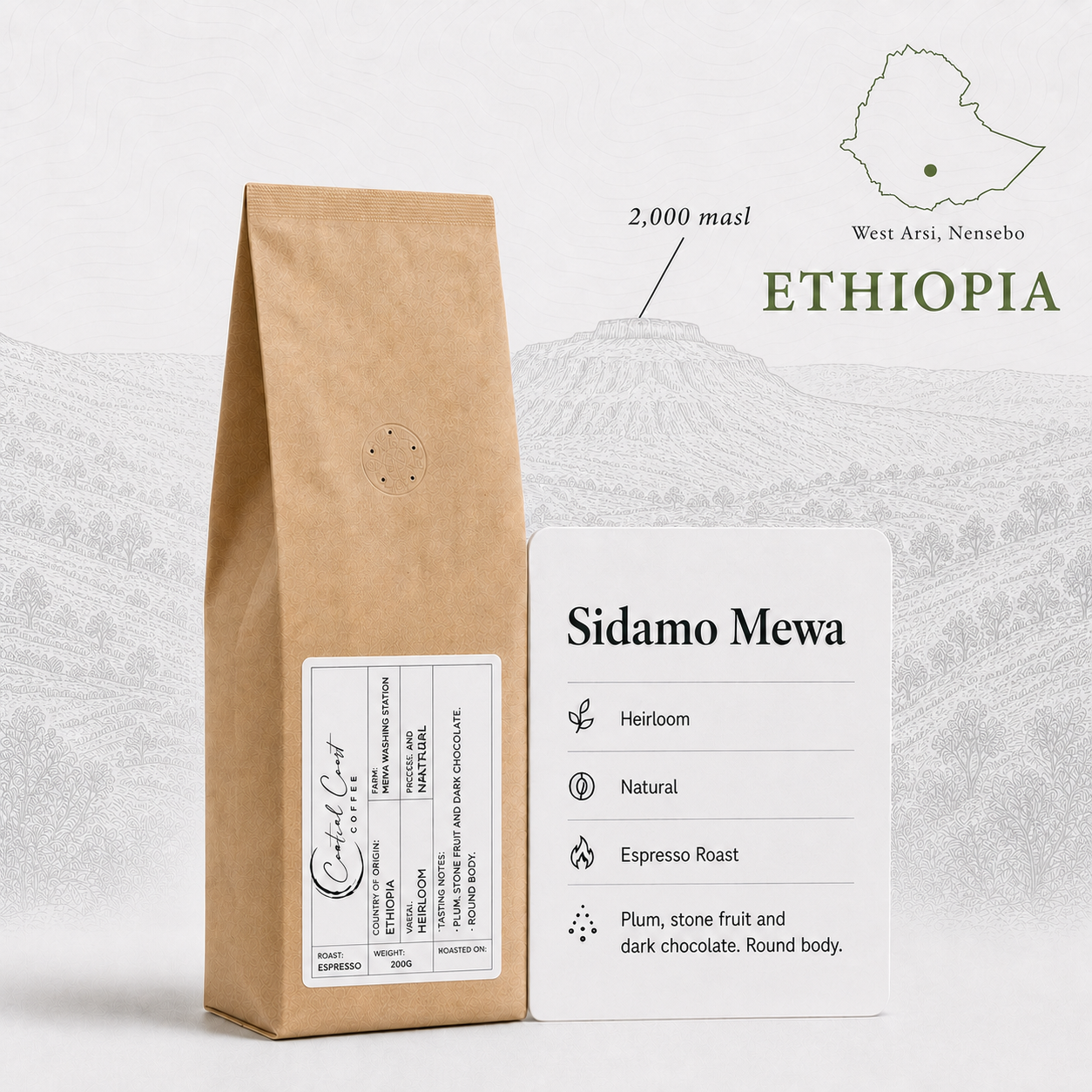 Central Coast Coffee Ethiopia Sidamo Mewa Heirloom Natural espresso coffee beans 200g bag