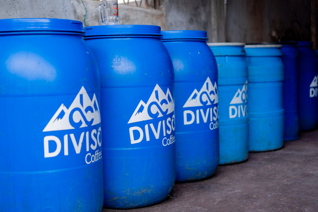 Colombia | El Diviso | Adrian Lasso | Sidra Bourbon (Hydrohoney Duo Cherry Velvet) | Signature Series