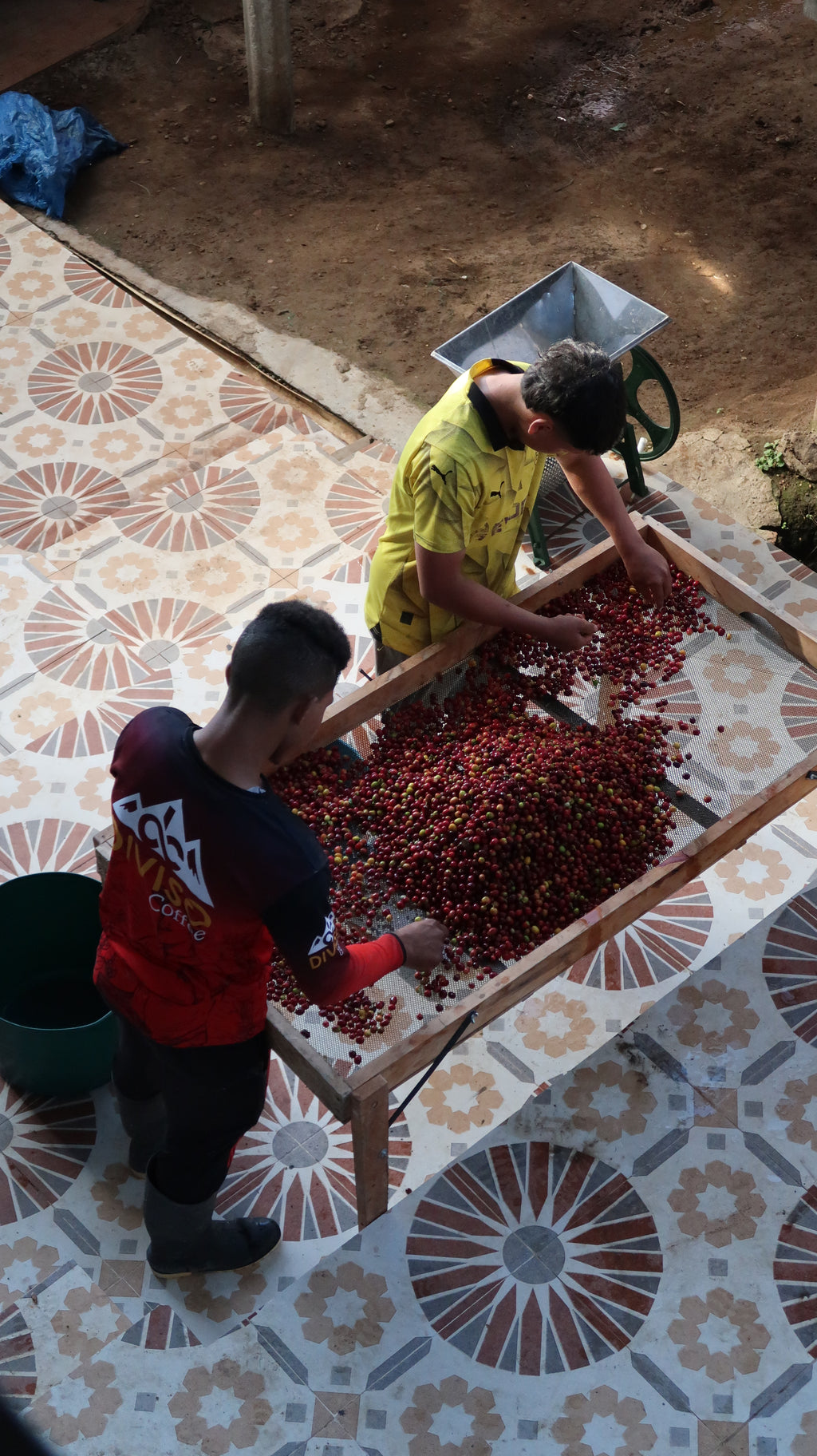 Colombia | El Diviso | Adrian Lasso | Sidra Bourbon (Hydrohoney Duo Cherry Velvet) | Signature Series