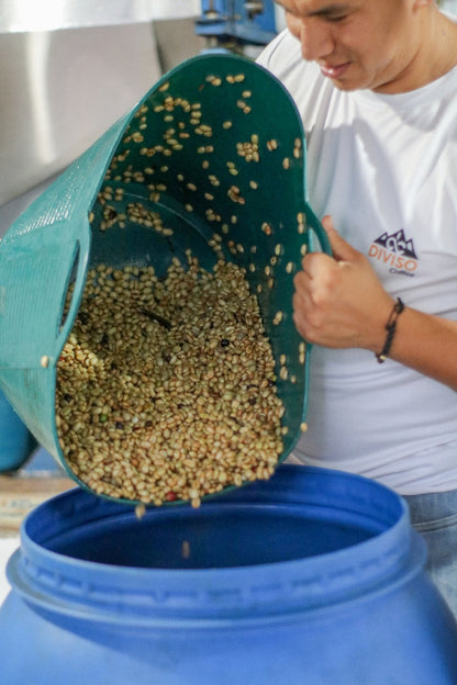 Colombia | El Diviso | Adrian Lasso | Sidra Bourbon Duo Cherry Velvet | Signature Series