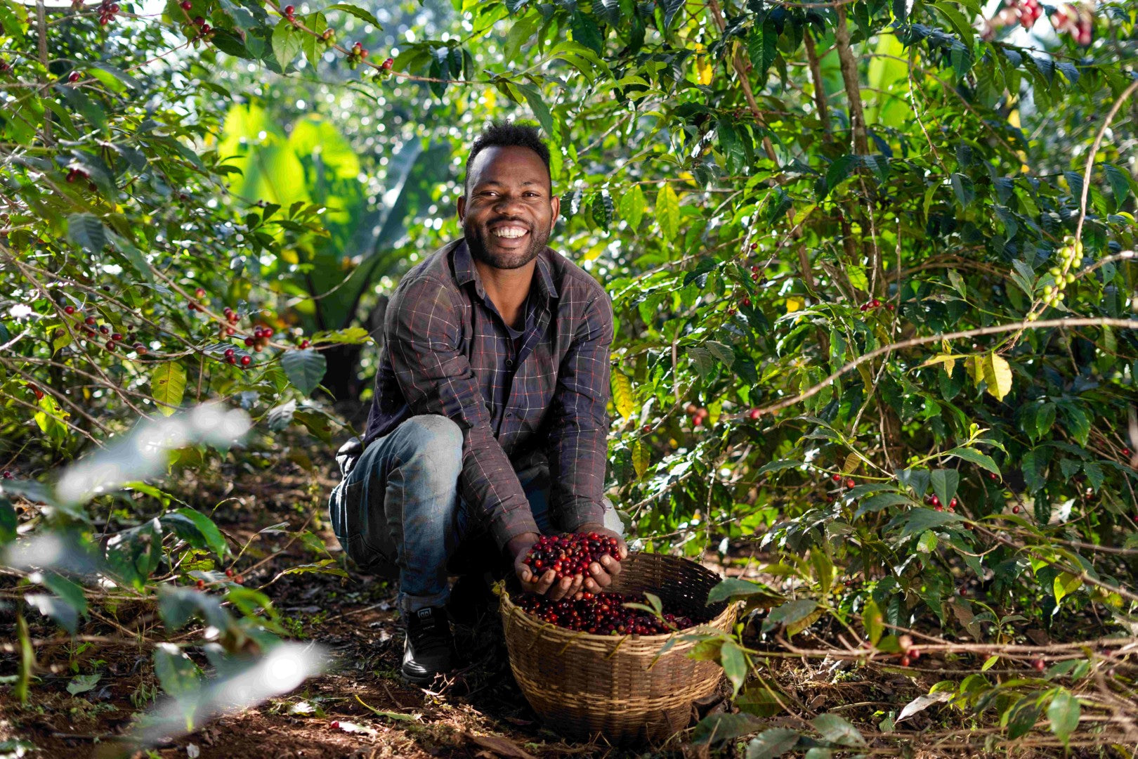 Ethiopia | Yirgacheffe Nigist Girmachew | JARC / Local Landraces Natural Grade 1