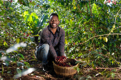 Ethiopia | Nigist Girmachew | JARC / Local Landraces Natural Grade 1