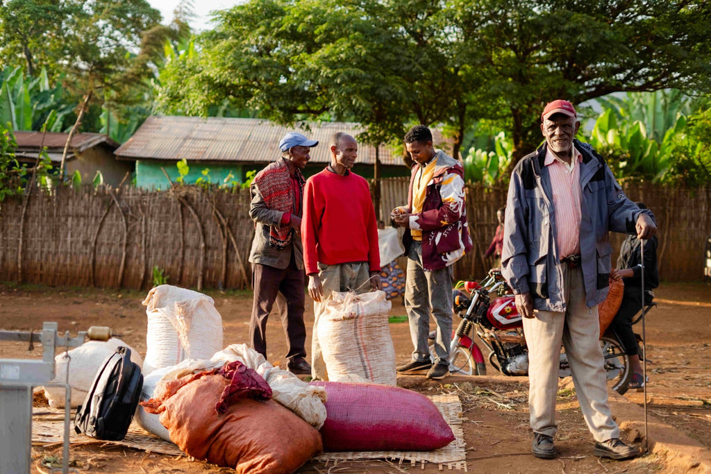 Ethiopia | Yirgacheffe Nigist Girmachew | JARC / Local Landraces Natural Grade 1