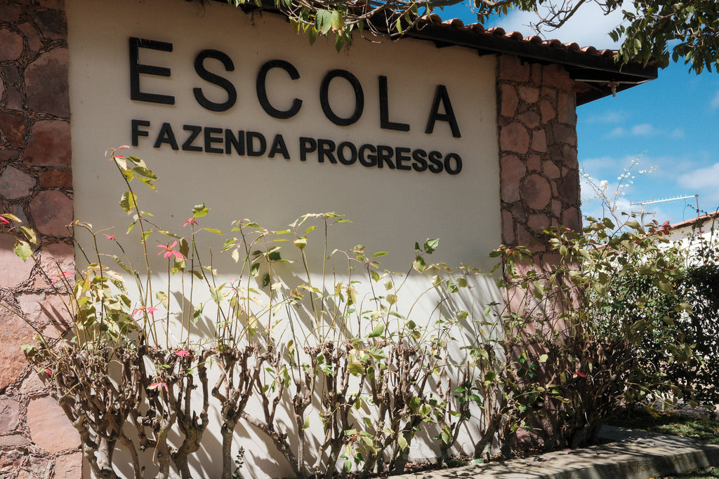 Brazil | Fazenda Progresso | Catuaí / Topazio Natural