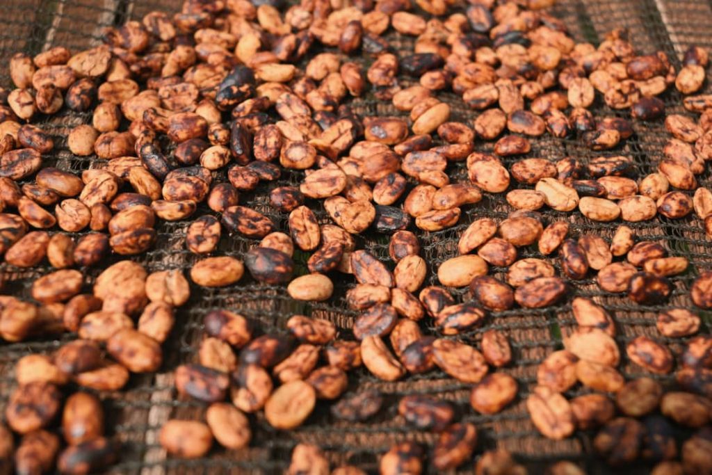 Ethiopia | Yirgacheffee Danche | Heirloom Red Honey G1