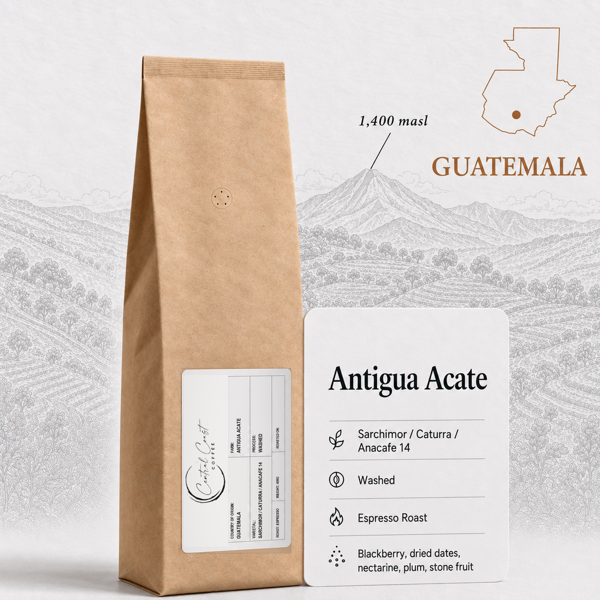 Guatemala Antigua Acate Washed 400g espresso roast bag