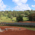 Raised drying beds at the Buku washing station, Hambela Wamena, West Guji
