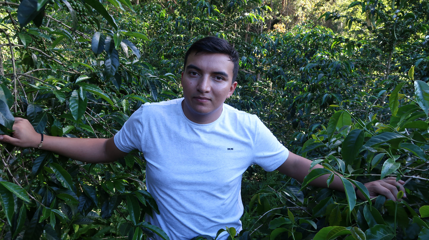 Colombia | El Diviso | Nestor Lasso | Aji Bourbon Tropical Fruit Forward Lush Natural | Signature Series